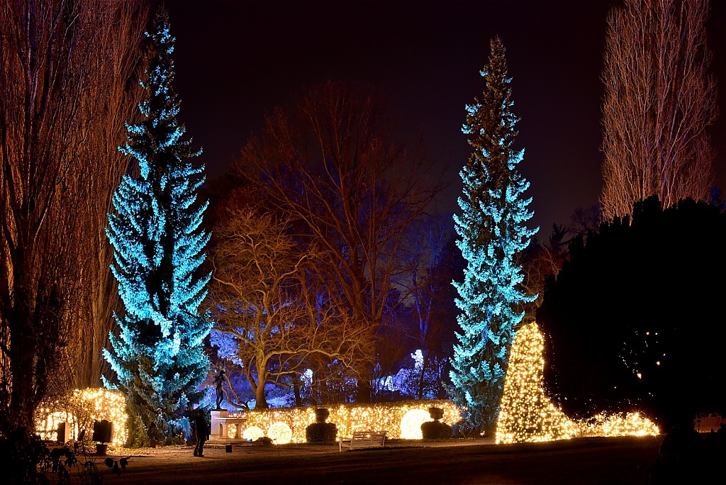 Steglitz Botanischer Garten Christmas Garden 2016