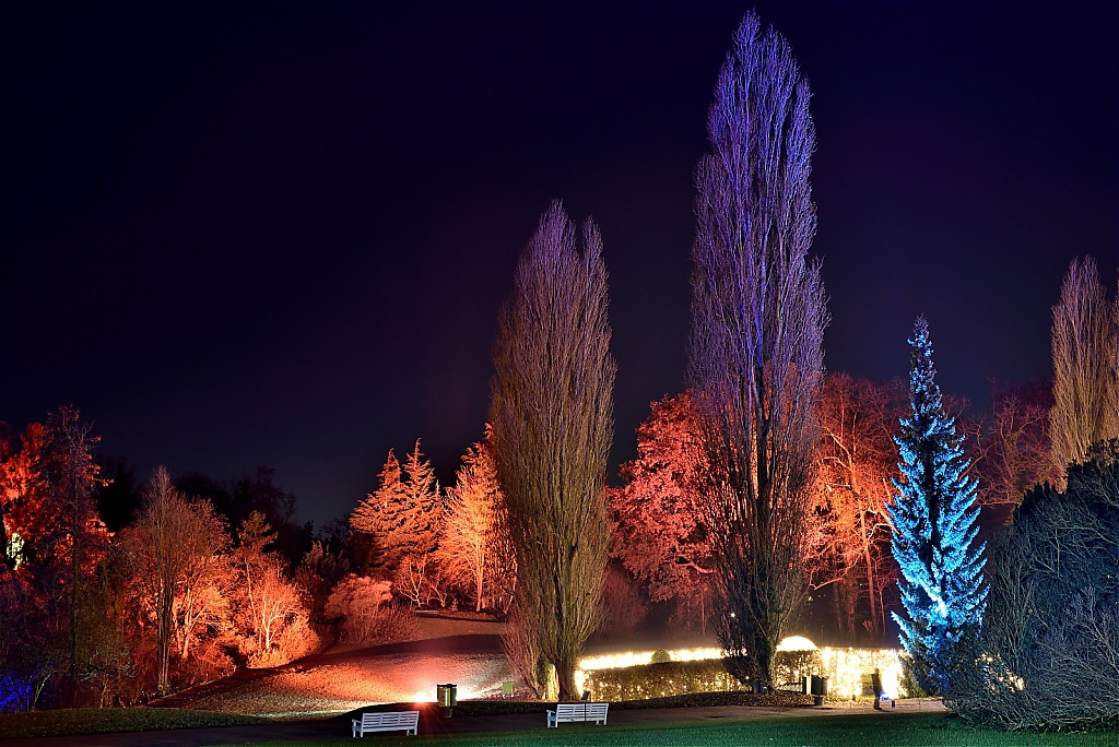 Steglitz Botanischer Garten Christmas Garden 2016