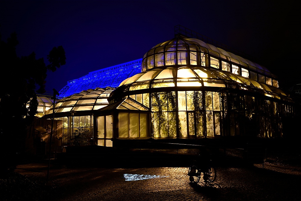 Steglitz Botanischer Garten Christmas Garden 2016