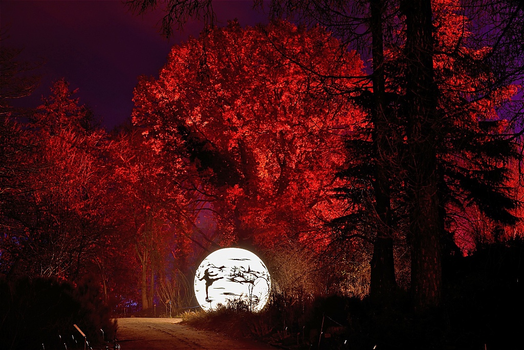 Steglitz Botanischer Garten Christmas Garden 2016