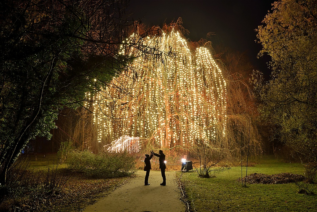 Steglitz Botanischer Garten Christmas Garden 2016