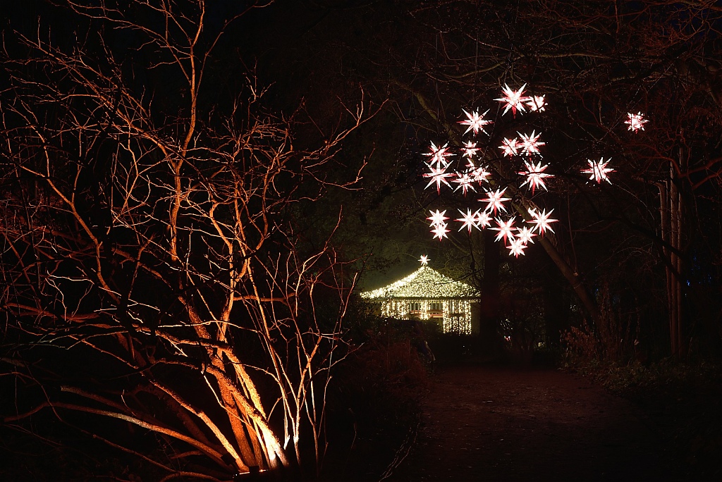 Steglitz Botanischer Garten Christmas Garden 2016