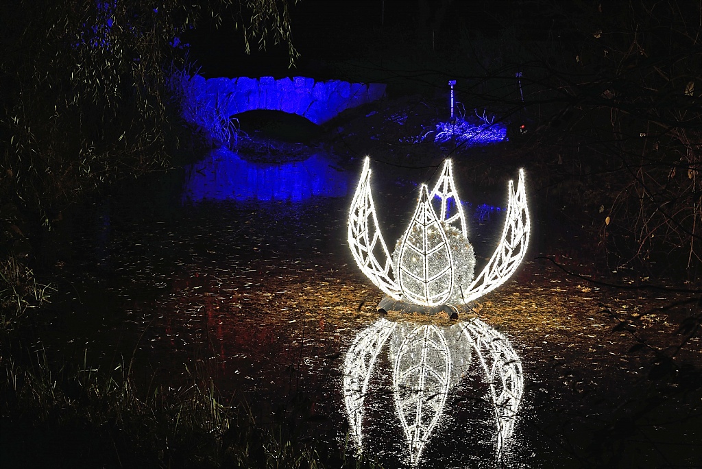 Steglitz Botanischer Garten Christmas Garden 2016