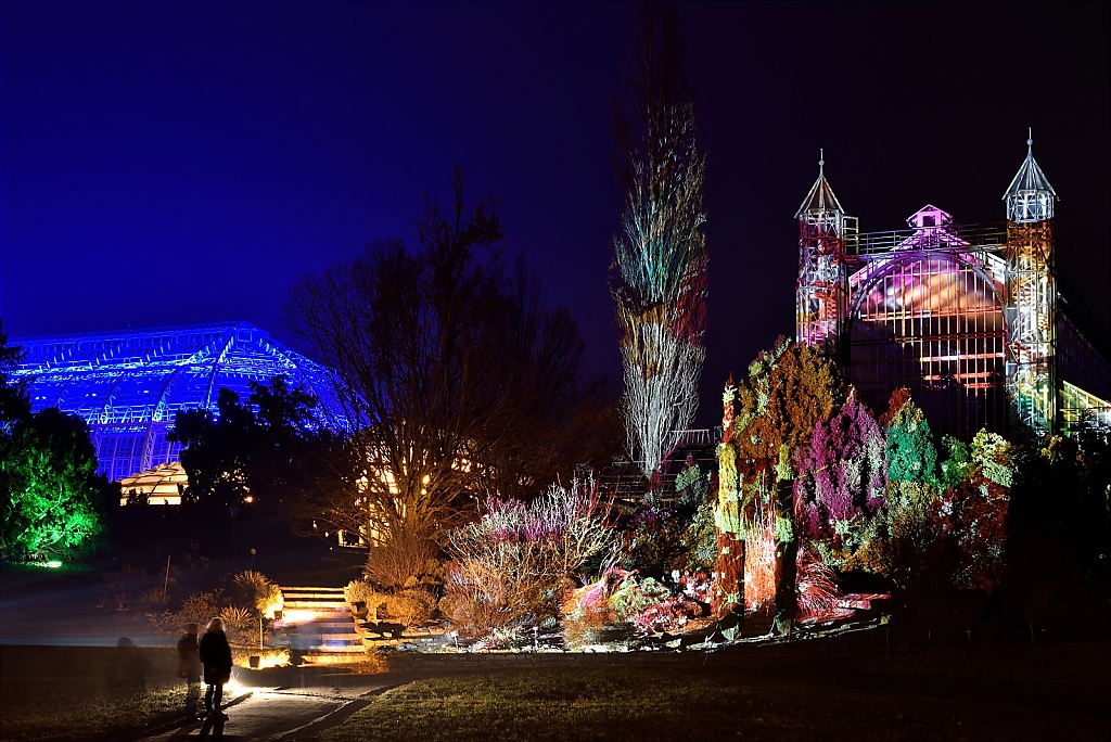 Steglitz Botanischer Garten Christmas Garden 2016