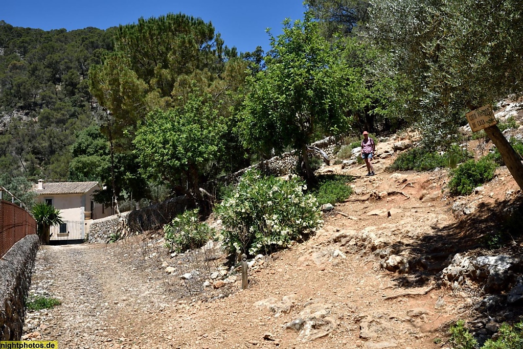 Mallorca Valle Coanegra Cami de Ses Freu