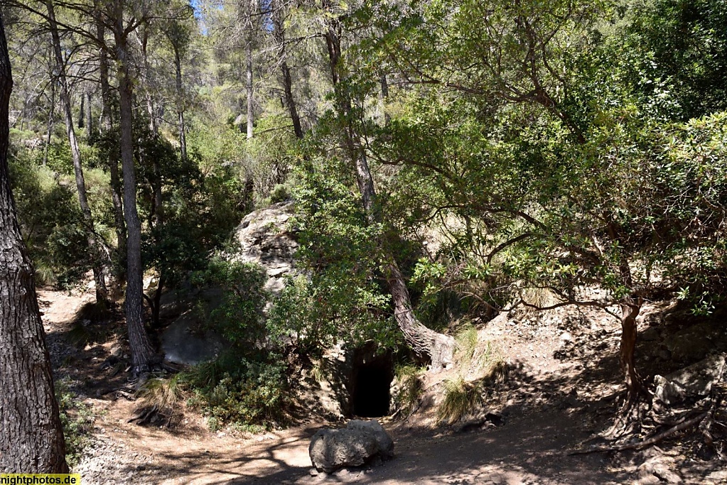Mallorca Valle Coanegra Tunneleingang zur Tropfsteinhöhle Avenc de Son Pou