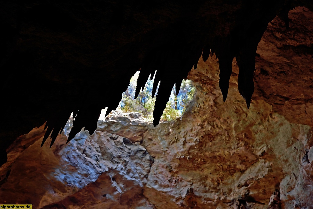 Mallorca Tropfsteinhöhle Avenc de Son Pou Stalagtiten