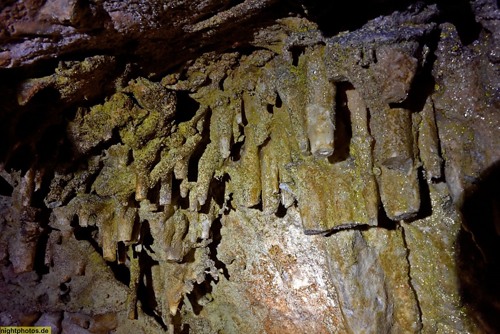 Mallorca Tropfsteinhöhle Avenc de Son Pou. Stalagtiten