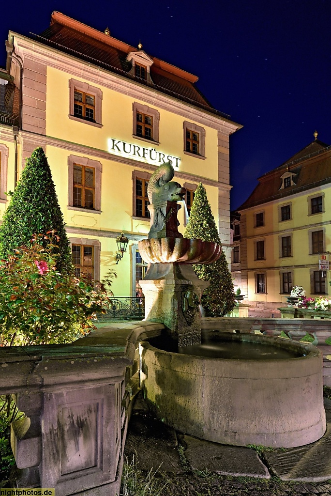 Fulda Stadtpalais von der Tann erbaut 1737-1739 mit Delphinbrunnen