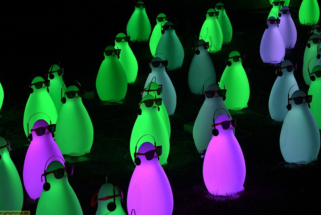 Zwickau Lichtinstallation an der Stadtmauer beim Festival of Lights 2018