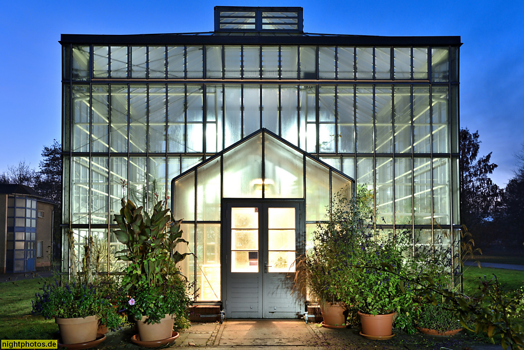 Berlin Pankow Botanischer Volkspark Blankenfelde. Hochgewächshaus mit Verbinder erbaut 1928-1929 von Albert Brodersen