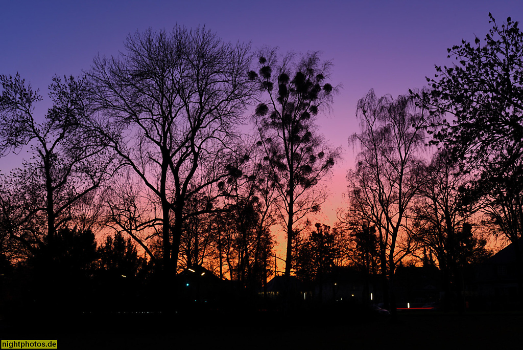 2019-12-04 04 Berlin Dahlem Sonnenuntergang am Corrensplatz