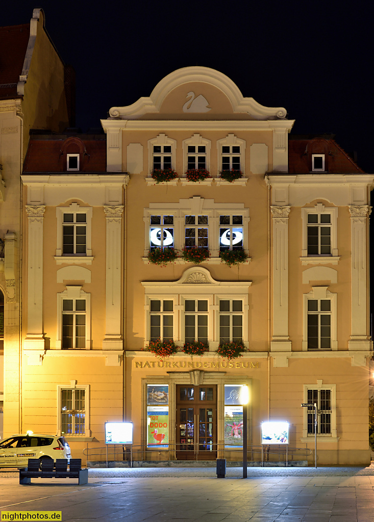 Görlitz. Naturkundemuseum. Erbaut 1859-1860 für die Naturforschende Gesellschaft zu Görlitz. Umbau 1901-1902 durch Baumeister August Kämpffer. Am Museum 1